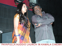 payapullaaudio
